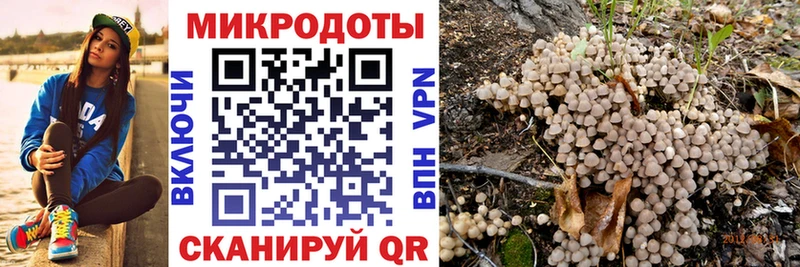 кракен как зайти  где можно купить   Урень  Галлюциногенные грибы Psilocybe 